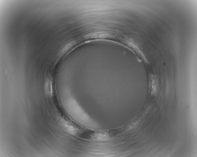 X0000066540110200603201436