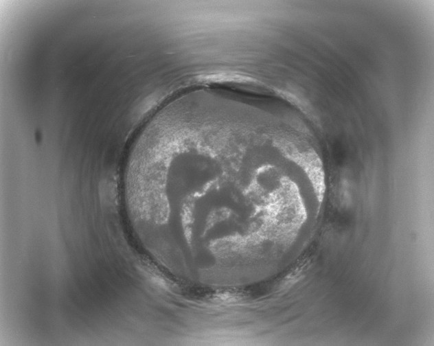 X0000066540111200603201436