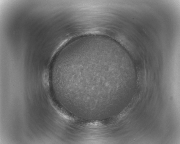 X0000066540112200603201436