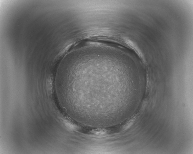 X0000066540113200603201436