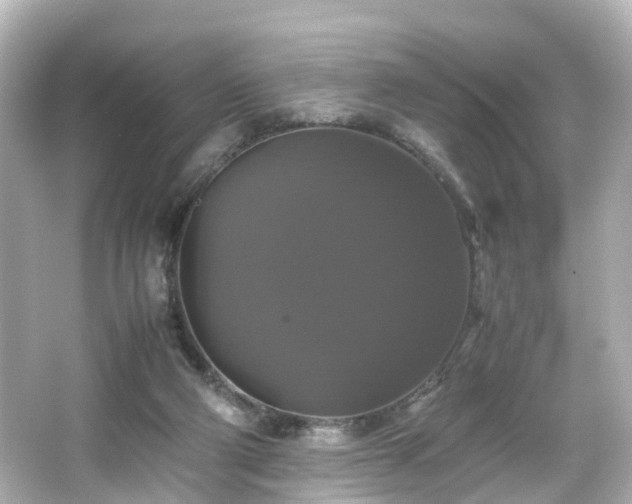 X0000066540114200603201436