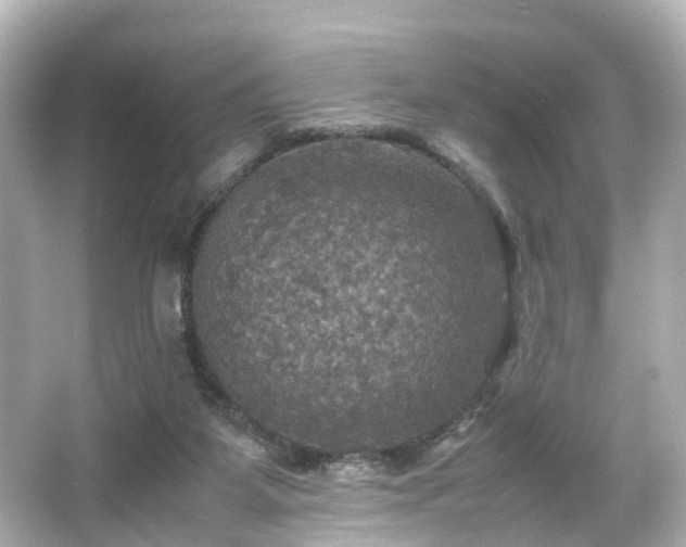 X0000066540115200603201436