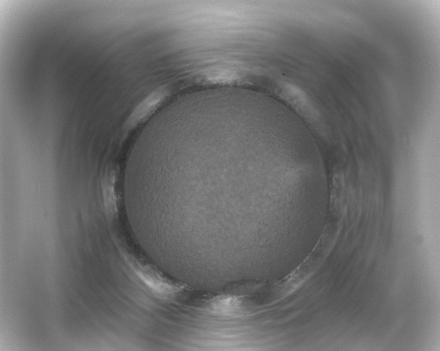 X0000066540116200603201436