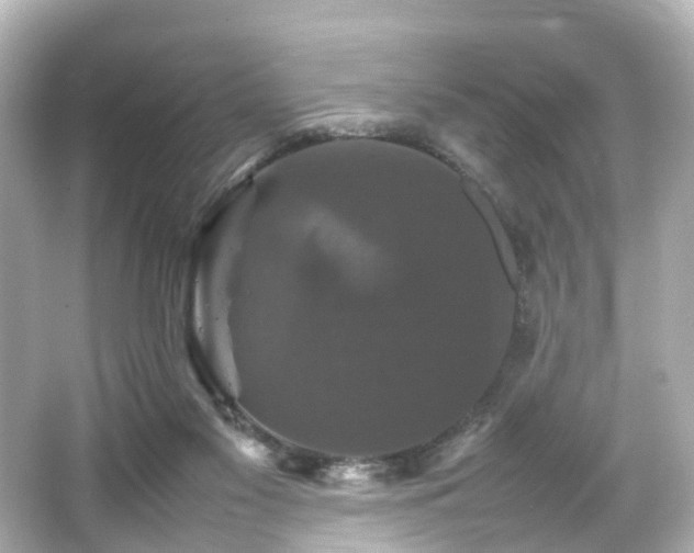 X0000066540117200603201436