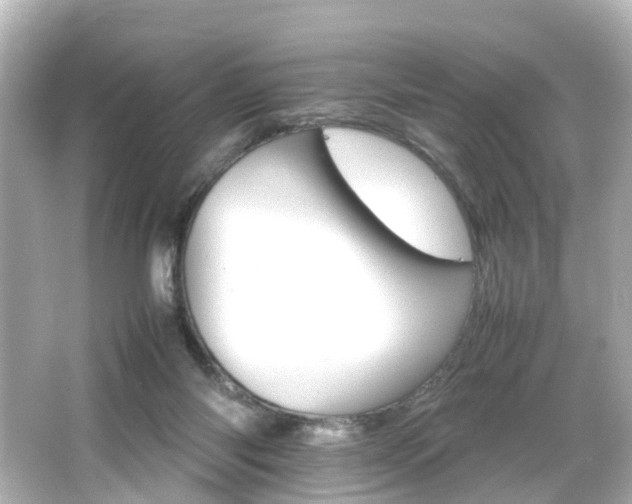 X0000066540118200603201436