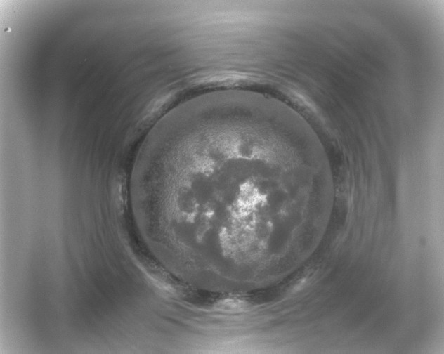 X0000066540119200603201436