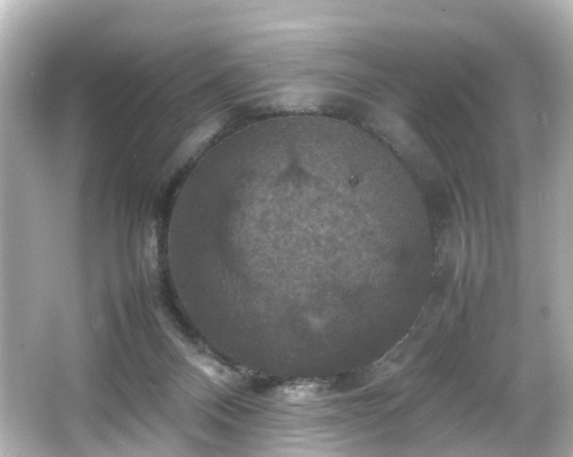 X0000066540120200603201436