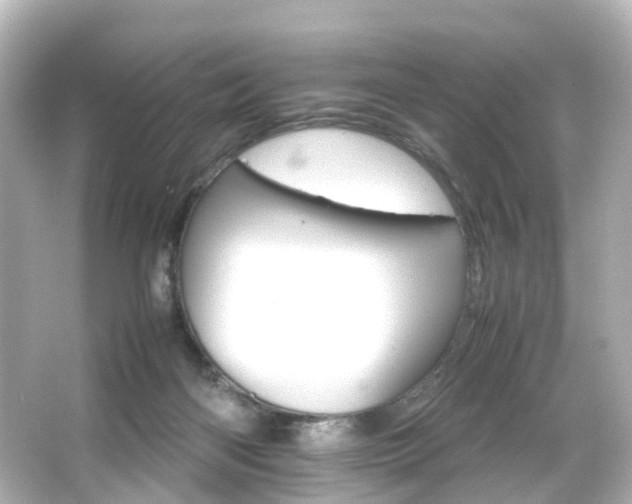 X0000066540122200603201436