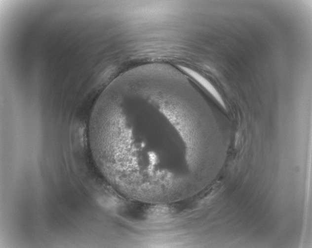 X0000066540123200603201436