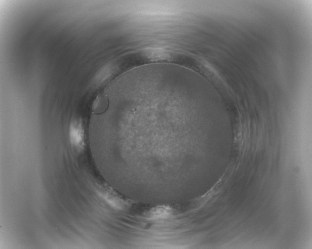 X0000066540124200603201436