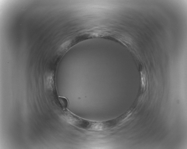 X0000066540127200603201436