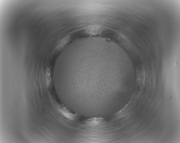 X0000066540128200603201436