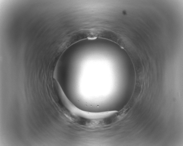 X0000066540129200603201436