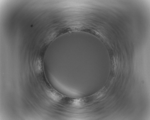 X0000066540130200603201436