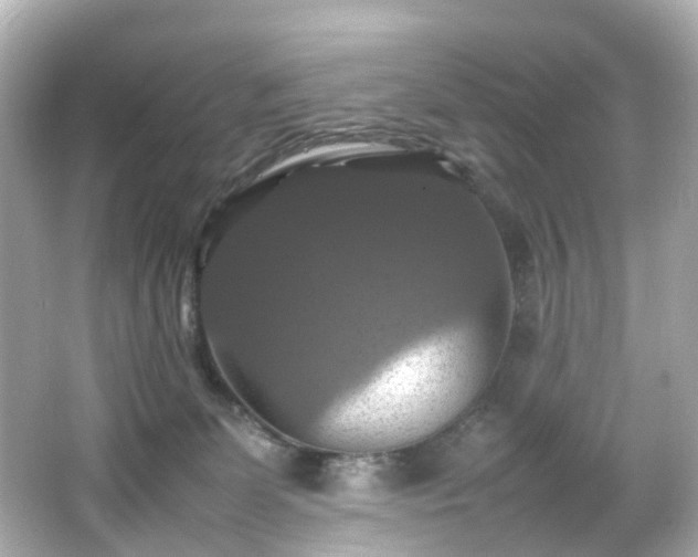 X0000066540131200603201436