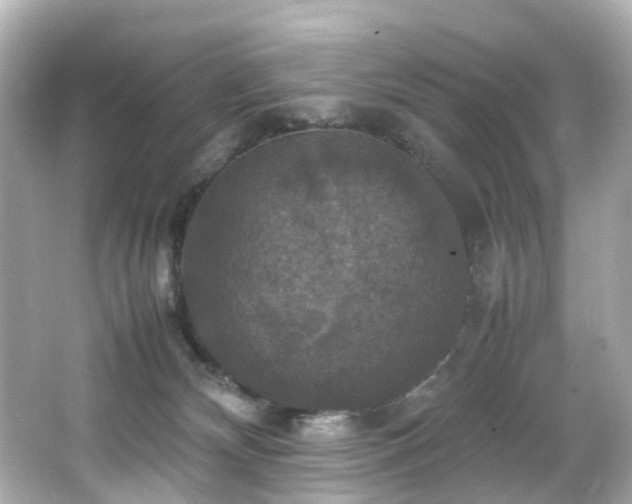 X0000066540132200603201436