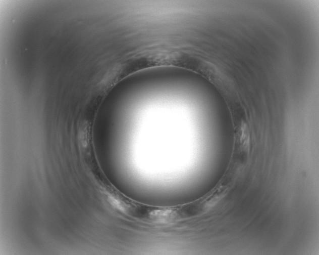 X0000066540133200603201435