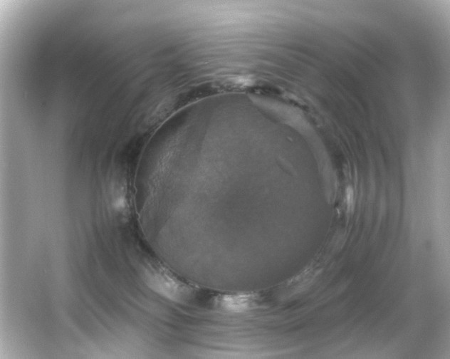 X0000066540134200603201435