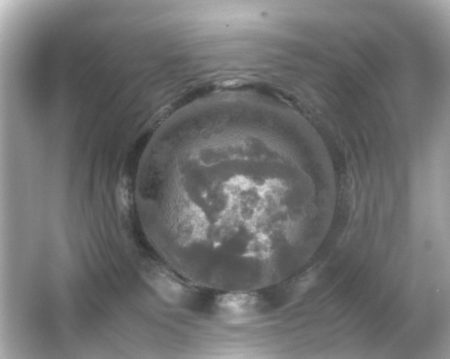 X0000066540135200603201435