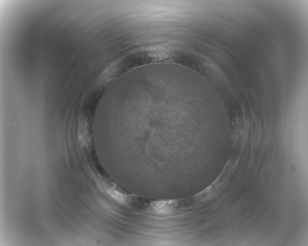 X0000066540136200603201435