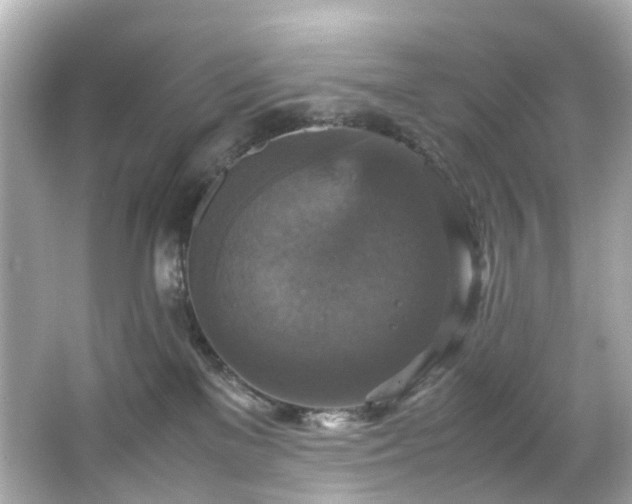 X0000066540137200603201435