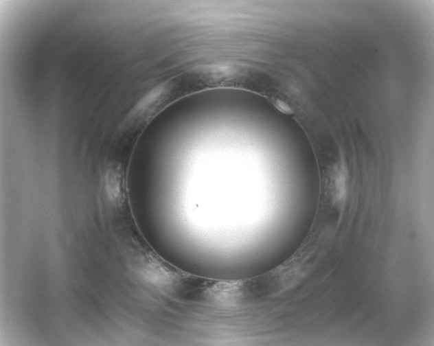 X0000066540138200603201435