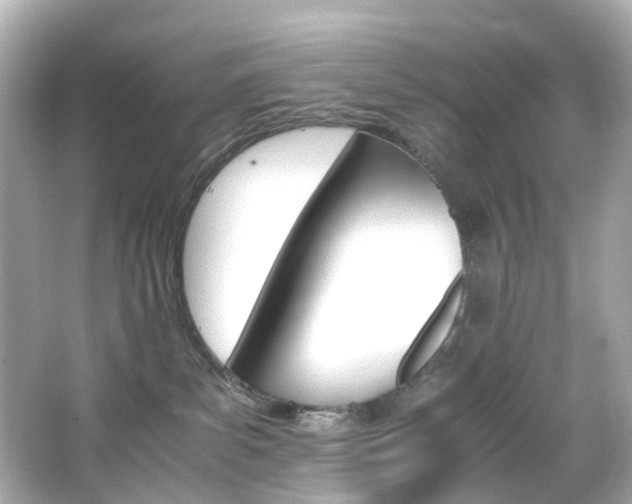 X0000066540139200603201435