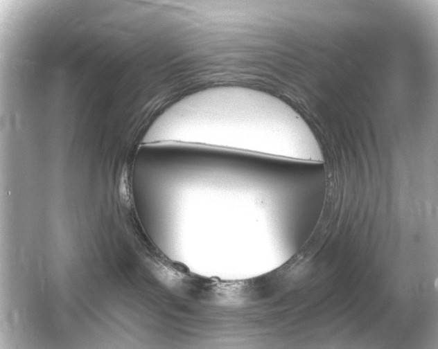 X0000066540143200603201435