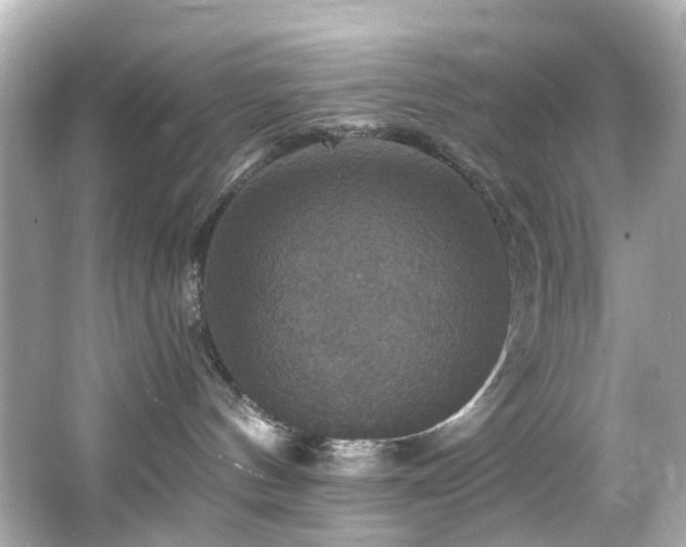 X0000066540144200603201435