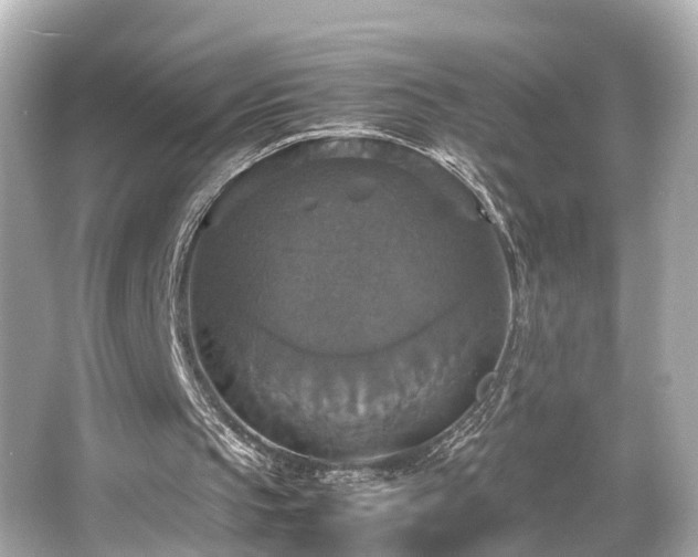 X0000066540145200603201434