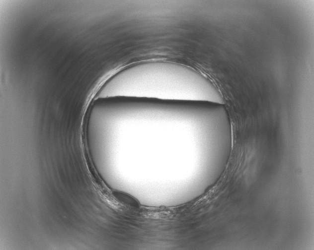 X0000066540147200603201435