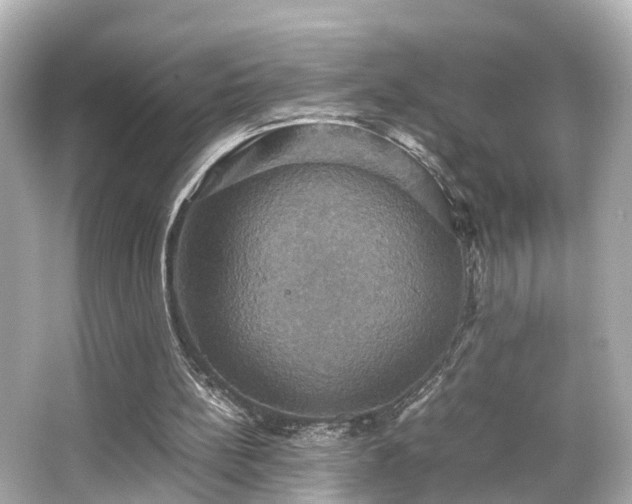 X0000066540148200603201435