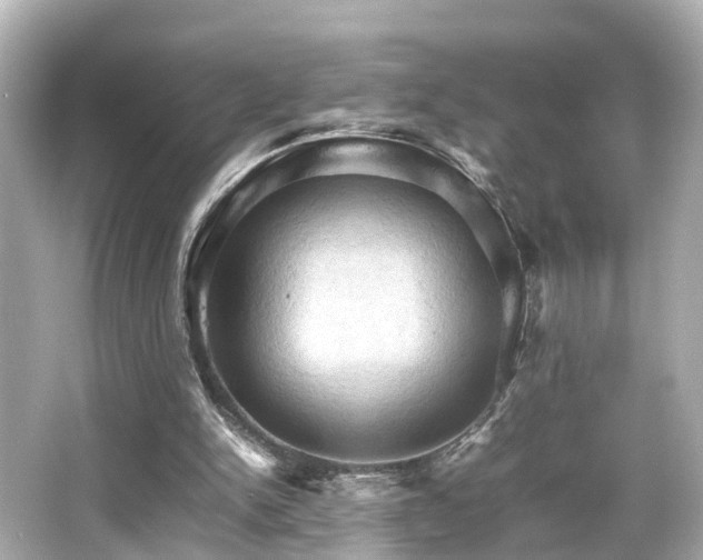 X0000066540150200603201435