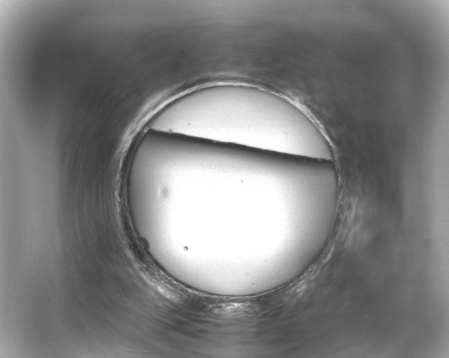 X0000066540151200603201435