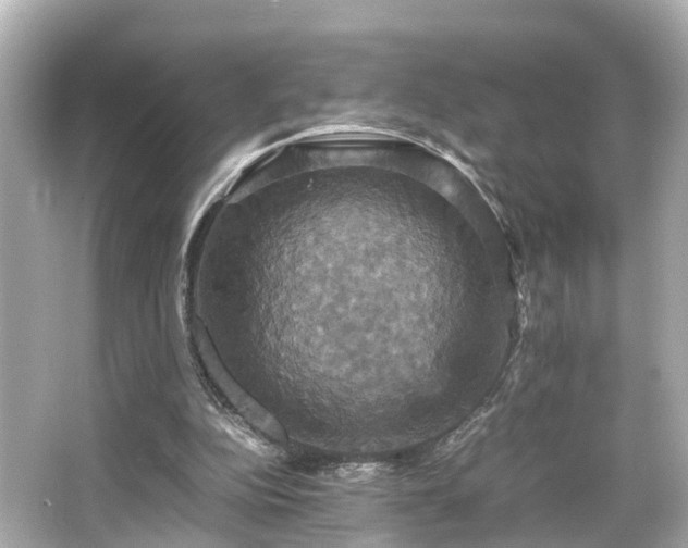 X0000066540152200603201435