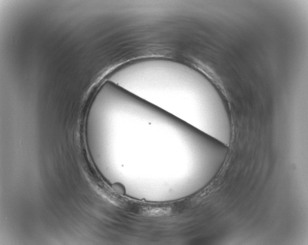 X0000066540155200603201435