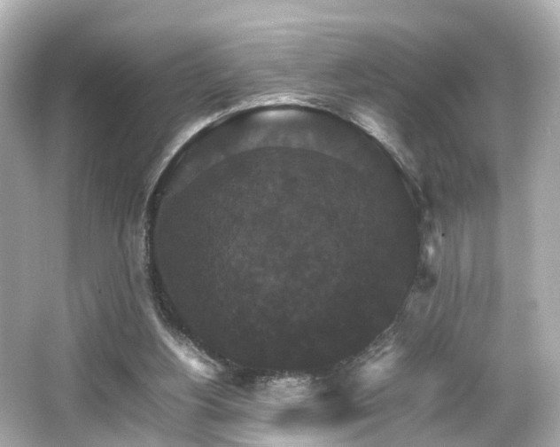 X0000066540156200603201435