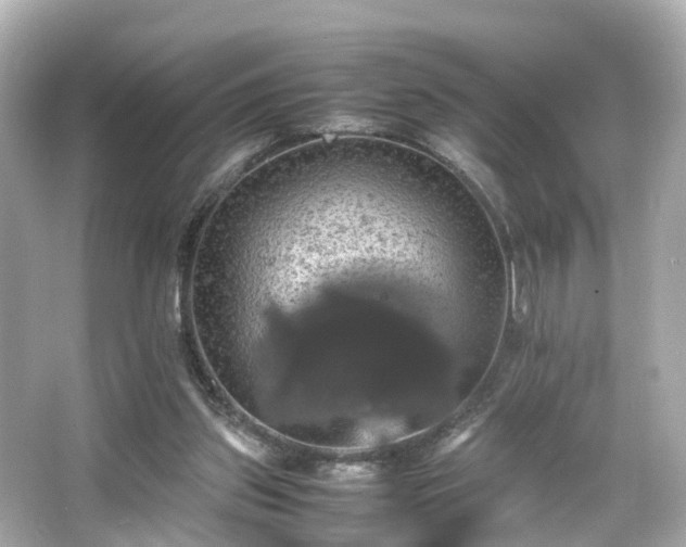 X0000066540157200603201435