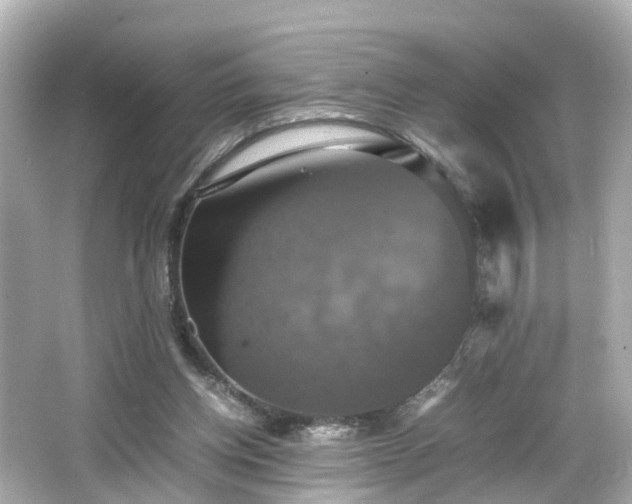 X0000066540158200603201435