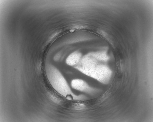 X0000066540159200603201435