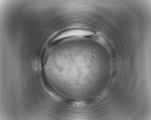 X0000066540160200603201435