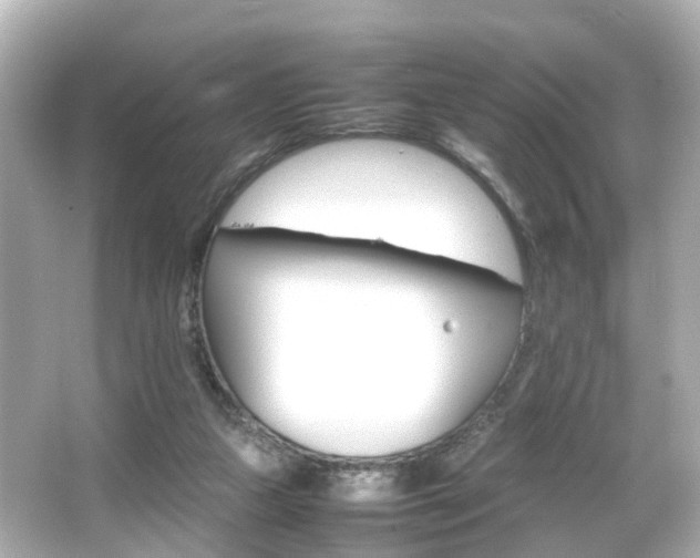 X0000066540161200603201435