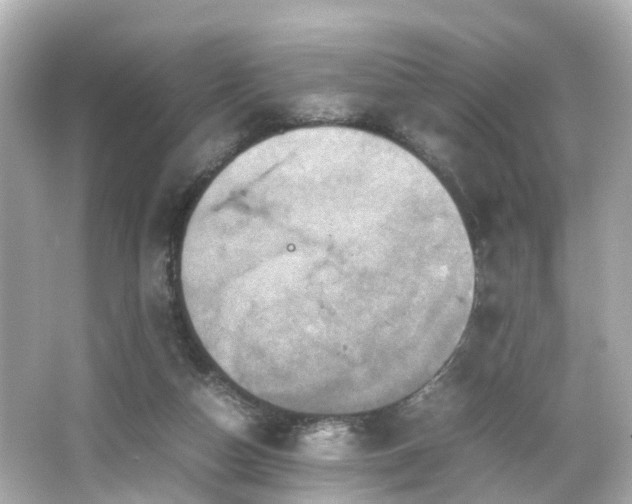 X0000066540162200603201435