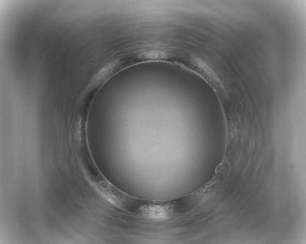 X0000066540163200603201435