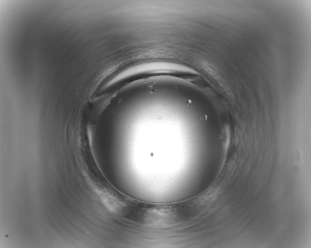 X0000066540164200603201435