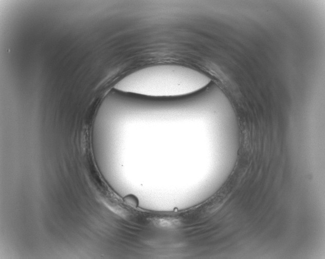 X0000066540165200603201435