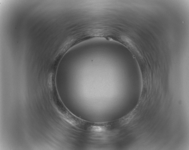 X0000066540167200603201435