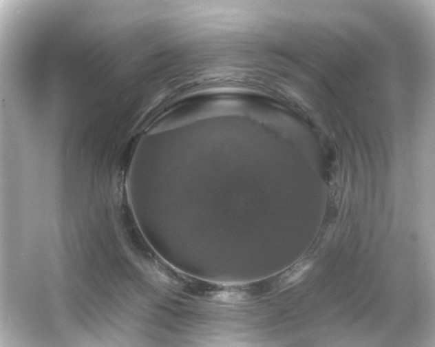 X0000066540168200603201435