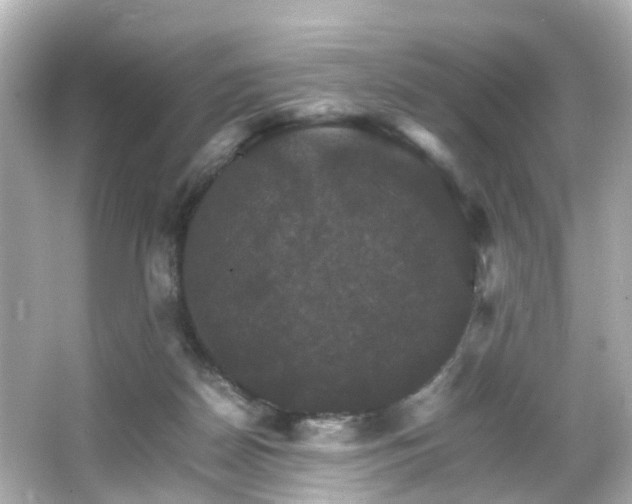 X0000066540170200603201435