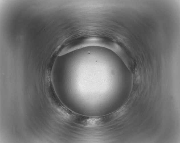 X0000066540172200603201435